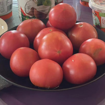 草莓西红柿种子依琳番茄