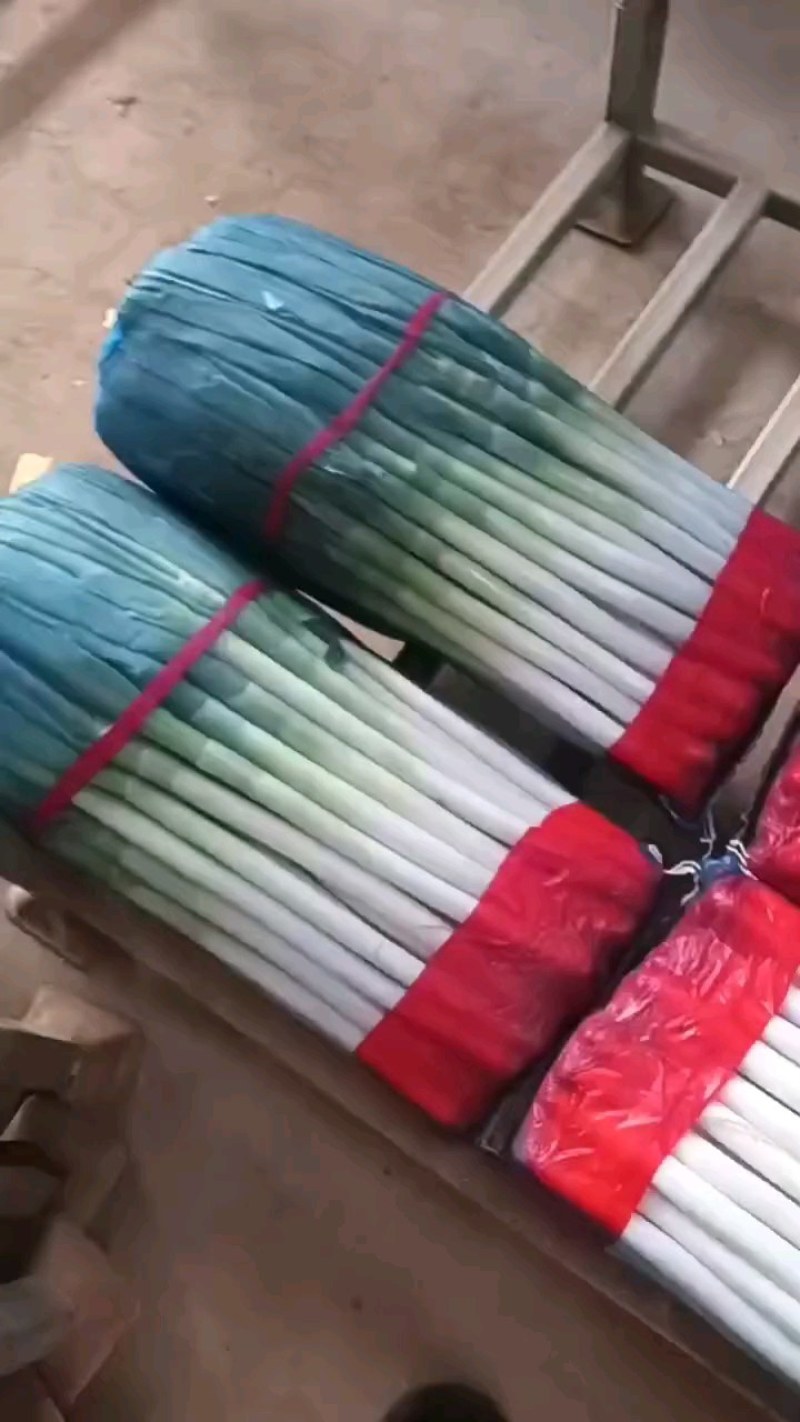 网包净葱，毛葱，大量有货需要的来