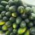 黑皮冬瓜，产地一手货源，15斤起，欢迎新老客户订购。