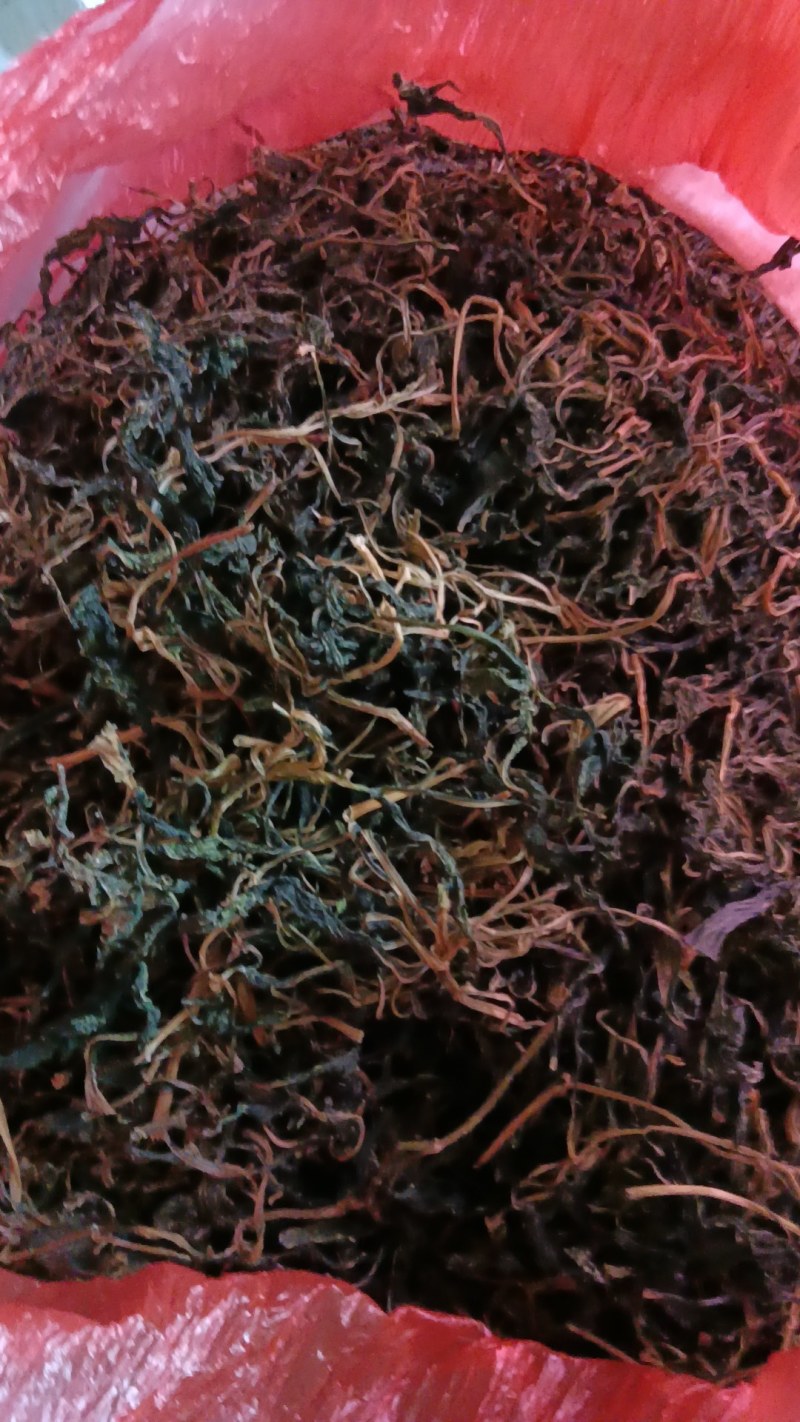 苦斋菜，苦菜干