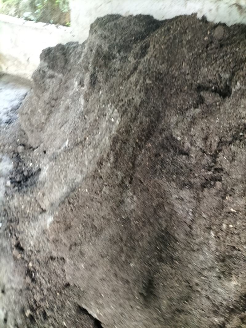 鸡粪有机肥牛粪有机肥，纯鸡粪发酵腐熟，地面高温发酵腐熟禽