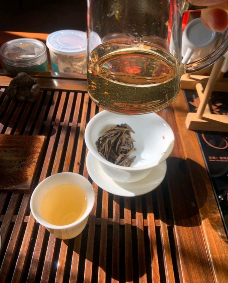 白毫银针老银针米芽回味浓郁清甜非常不错的一款银针