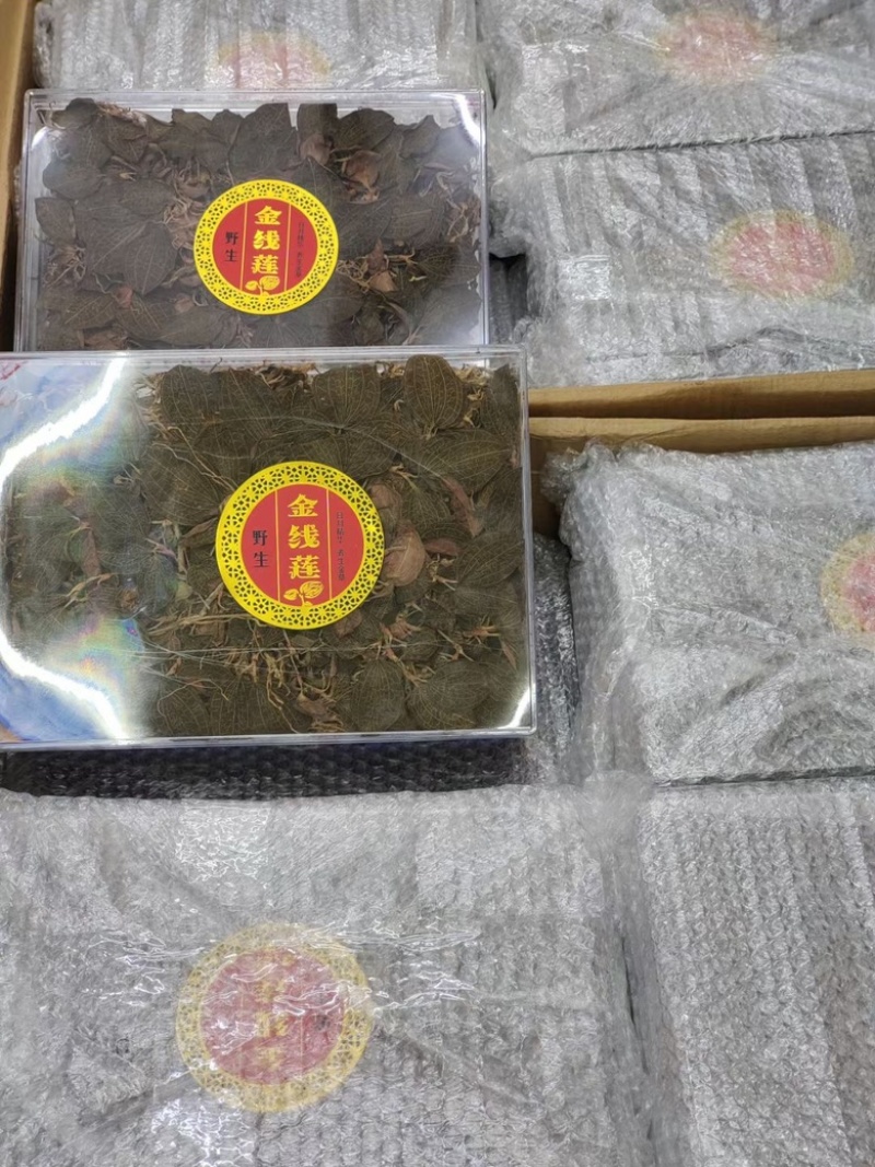林下福建仿野生金线莲礼品包装适合送礼客服在线接单