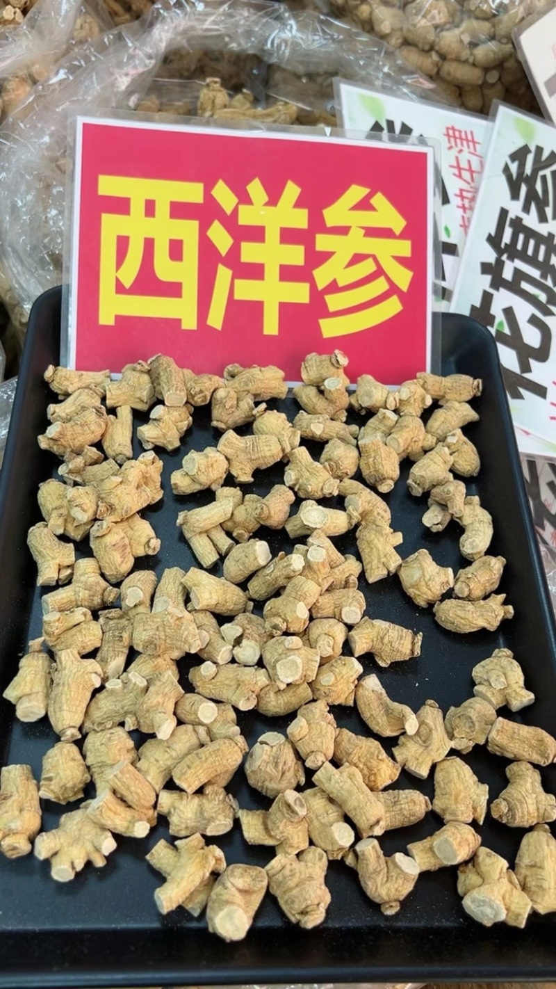 西洋参粒头足干原色一手货源量大优惠