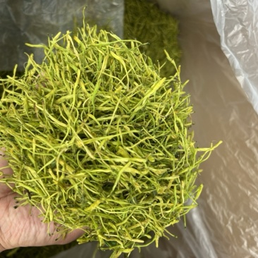 精品山银花【金银花】对接电商市场商超等各类客户