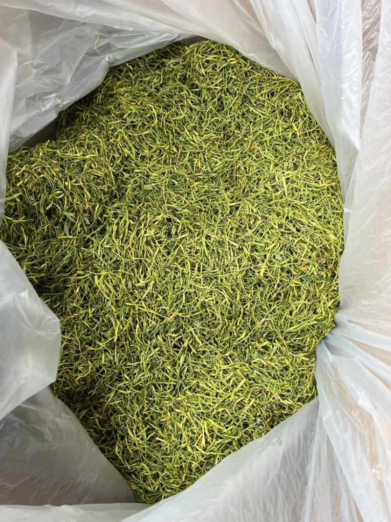 精品山银花【金银花】对接电商市场商超等各类客户