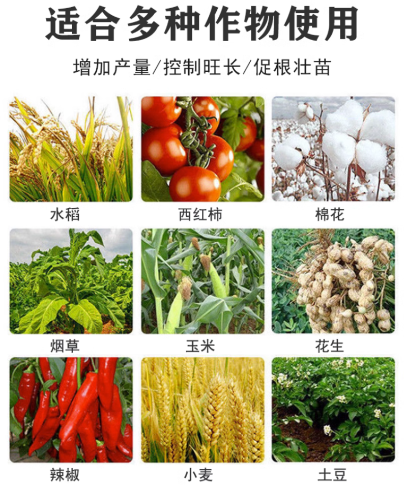 江苏建农15%多效唑控制生长控旺矮壮素调节生长增产