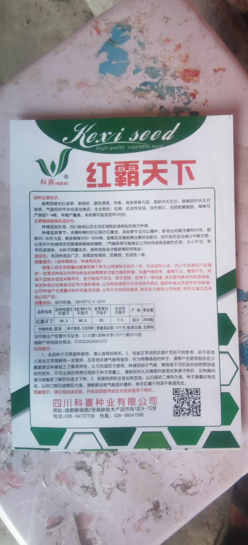 红菜苔种子红霸天下腊光油亮粗胖型红油菜苔早熟卖相好