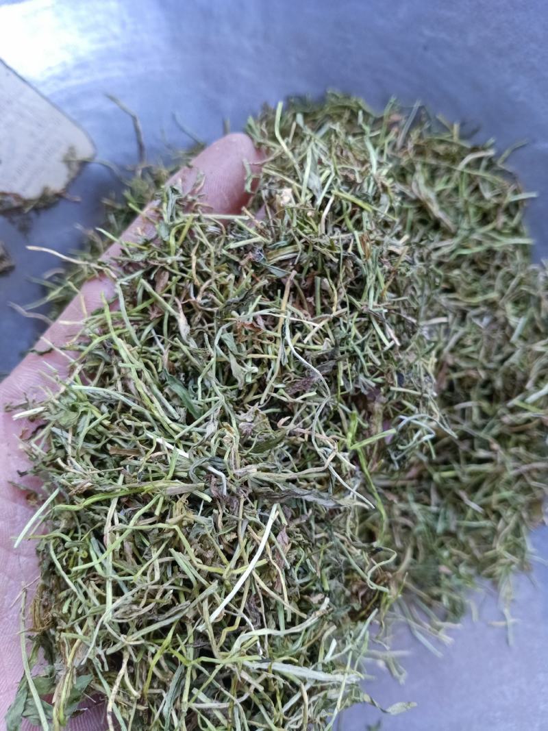 半边莲，家种半边莲切片质量保证欢迎咨询选购！