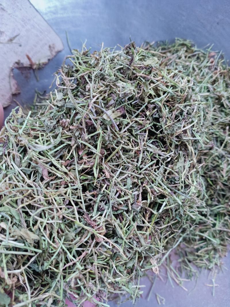 半边莲，家种半边莲切片质量保证欢迎咨询选购！