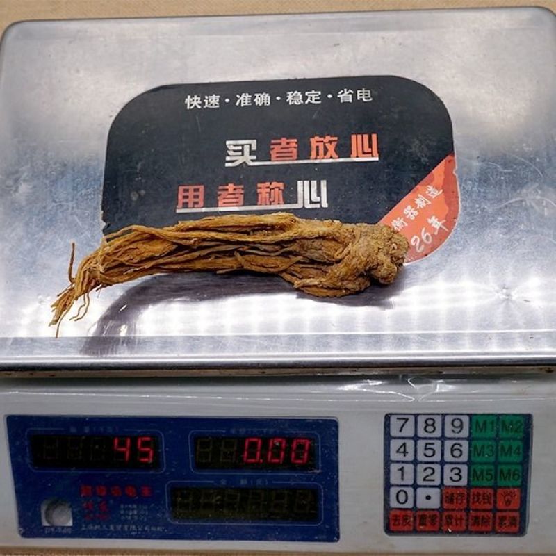 中药材岷县当归个当归全当归个当归个整条当归包邮另有当归片