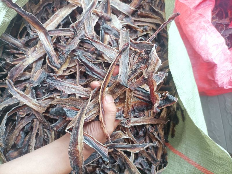 地龙，全开，全干大地龙，精品川地龙欢迎各位老板对接合作