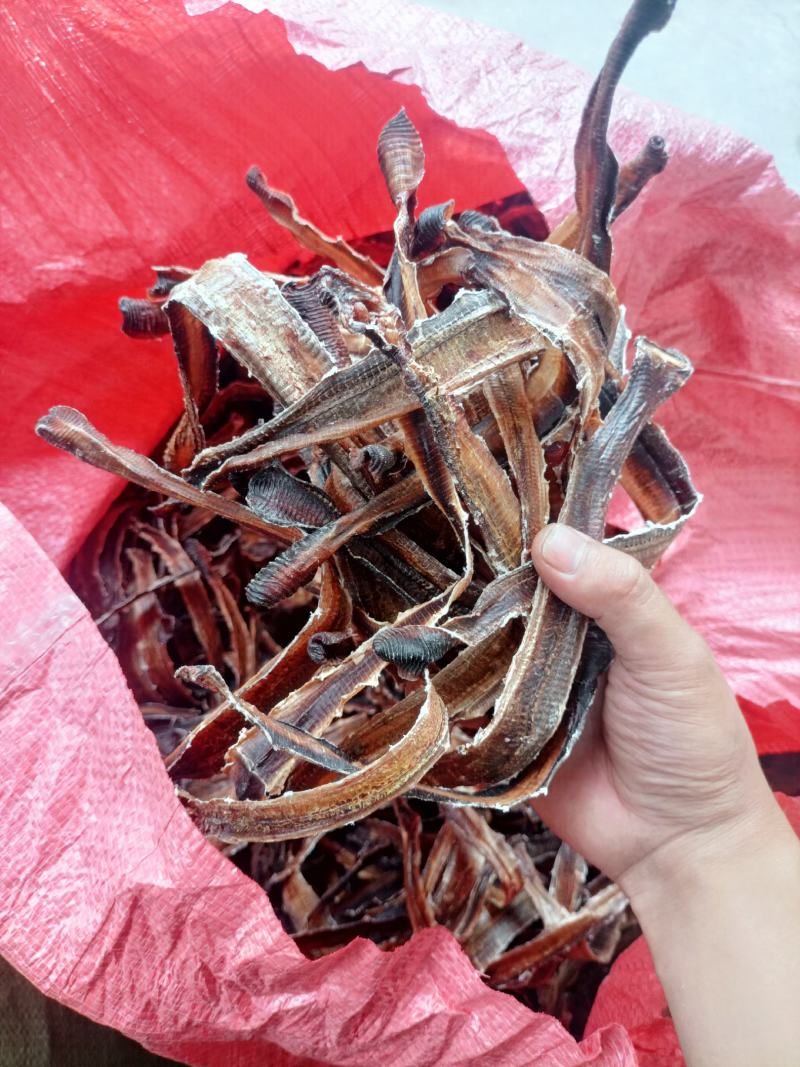 地龙，全开，全干大地龙，精品川地龙欢迎各位老板对接合作