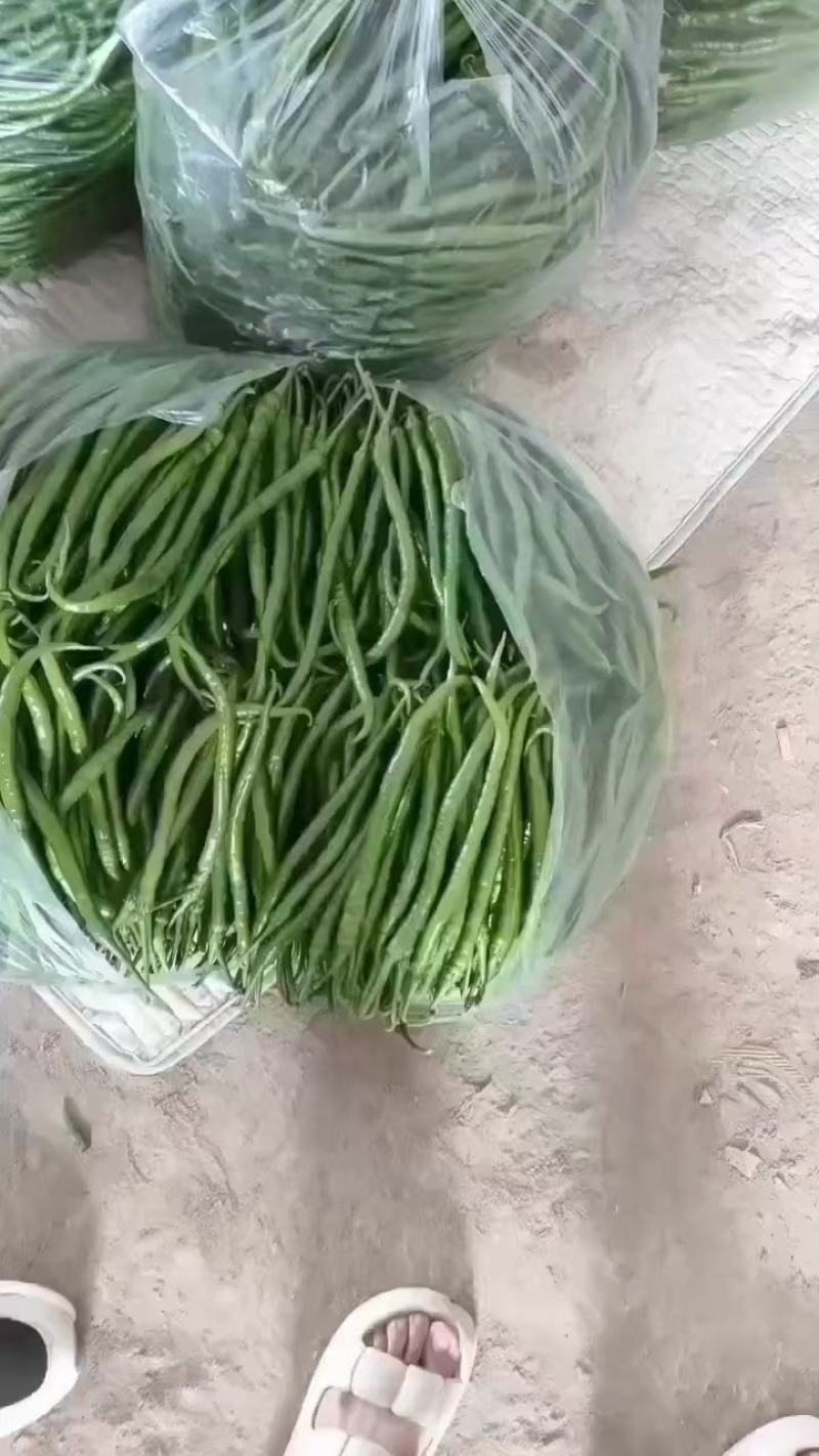 精品线椒大量上市，全国代发，货源充足，保证质量。