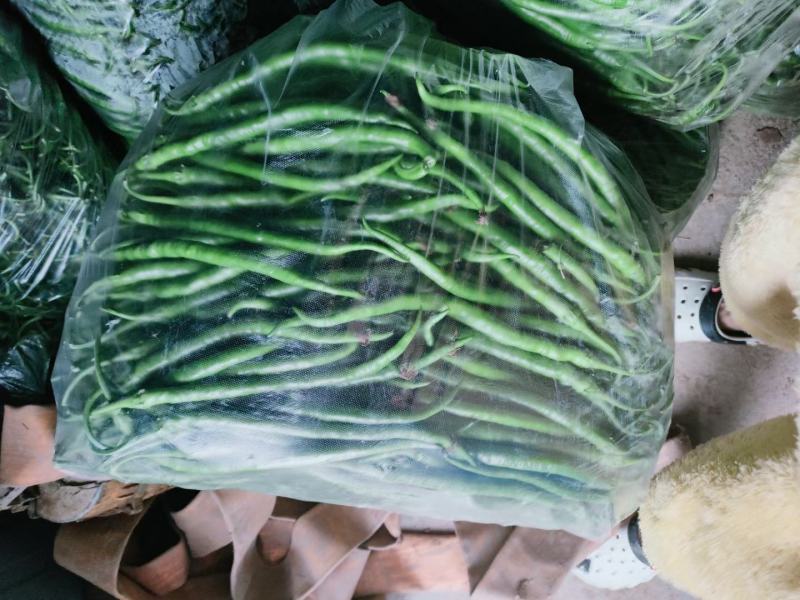 精品线椒大量供货，代发全国，万亩基地，诚信经营。