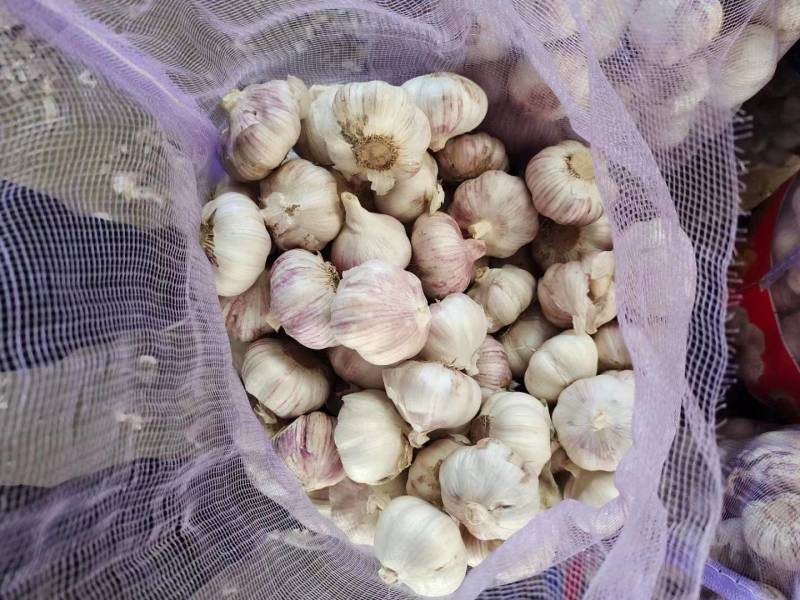 全年供应山东，《大蒜》《蒜米》，原产地发货，一手货源，