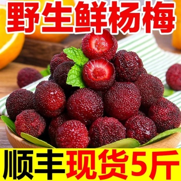 杨梅新鲜现货云南应季时令野生鲜果酸甜孕妇水果直发当季整箱