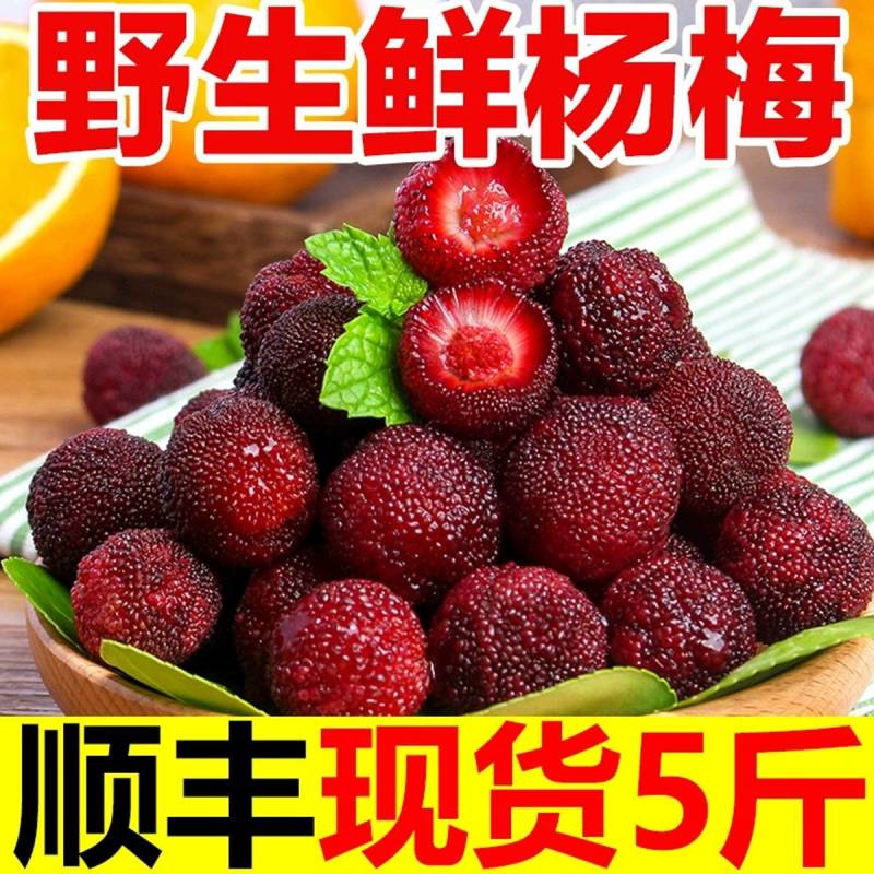 杨梅新鲜现货云南应季时令野生鲜果酸甜孕妇水果直发当季整箱