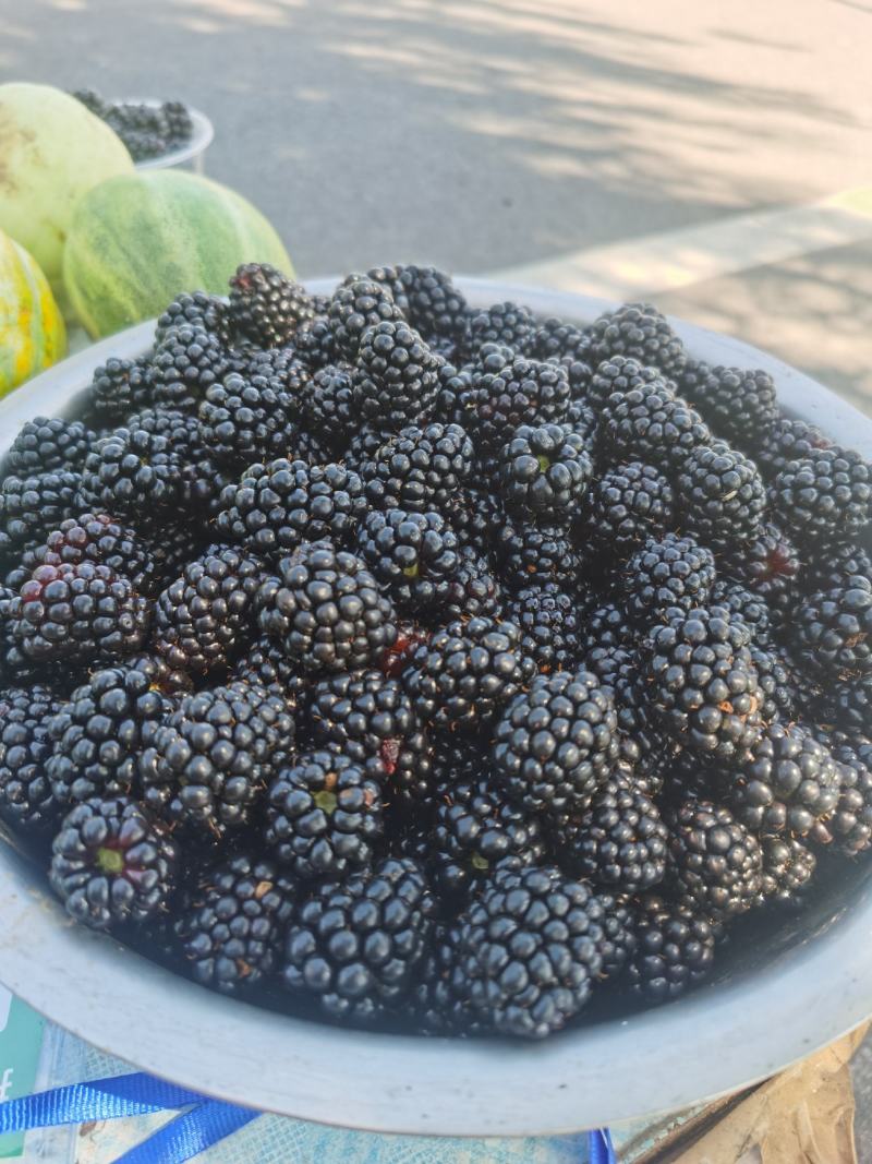 黑莓鲜果