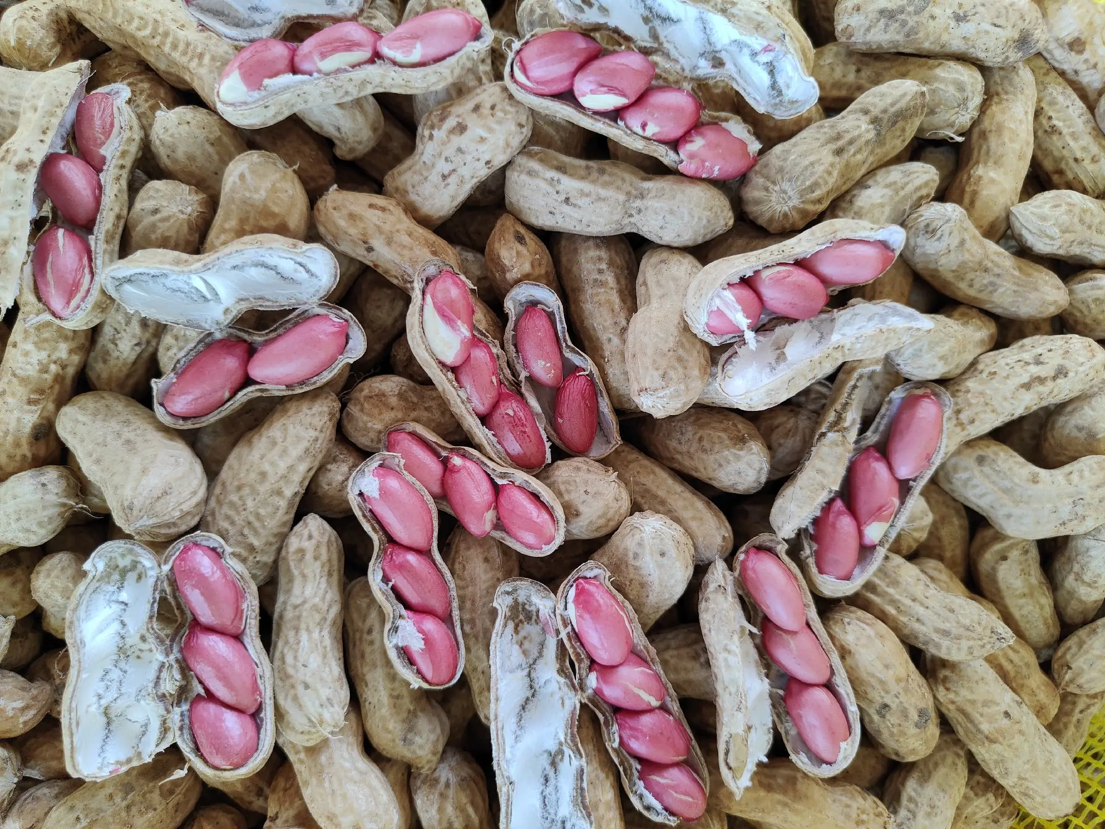 展示花生油与其他健康食材搭配的示意图,如蔬菜沙拉、全麦面包等 花生油与健康饮食搭配图