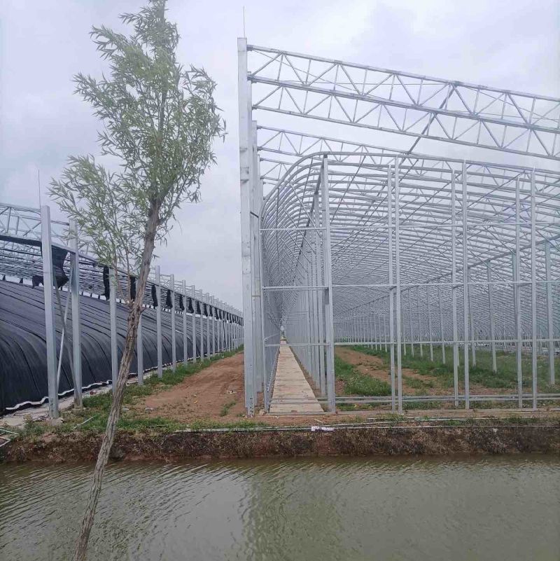 春季种植钢架大棚蔬菜基地专用棚全国发货上门安装