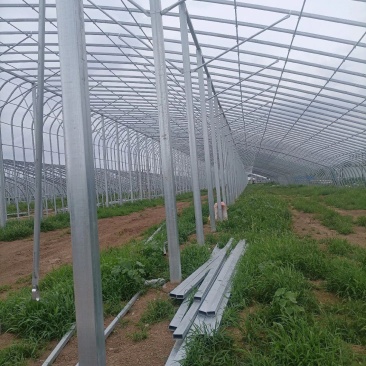 促销各种规格温室大棚尺寸管型齐全全国发货包建