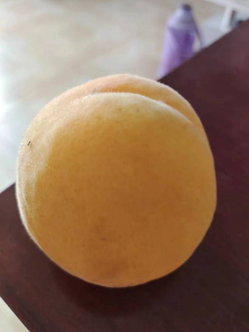 精品蜜桃黄金蜜桃大量上市货源充足量大从优欢迎咨询
