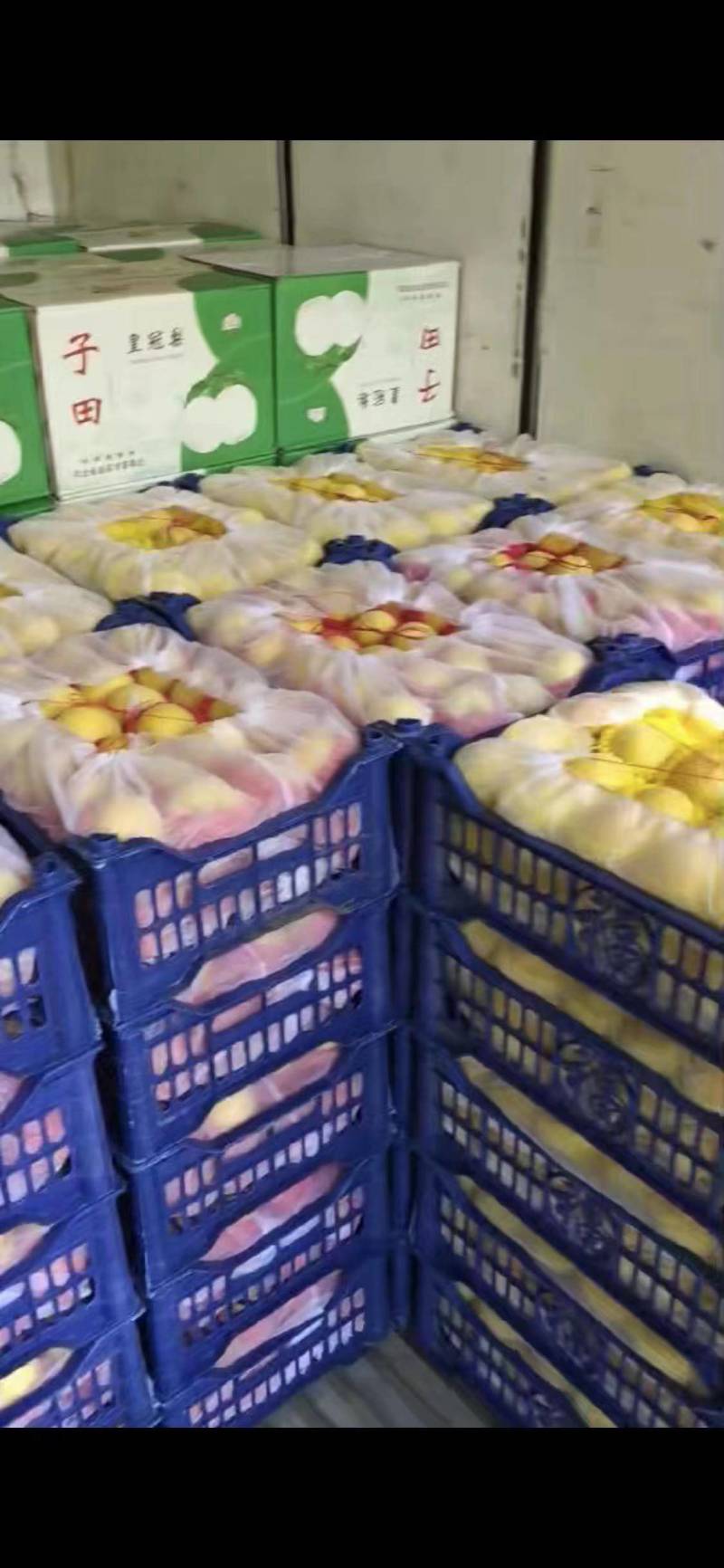精品蜜桃黄金蜜桃大量上市货源充足量大从优欢迎咨询
