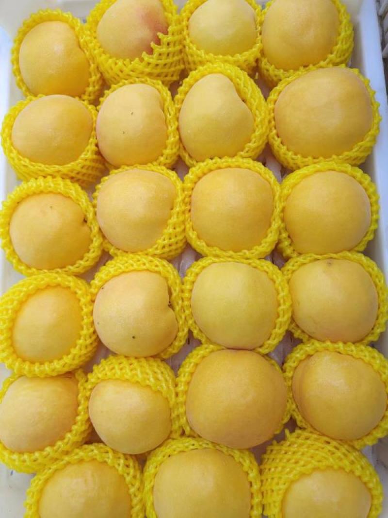 精品蜜桃黄金蜜桃大量上市货源充足量大从优欢迎咨询
