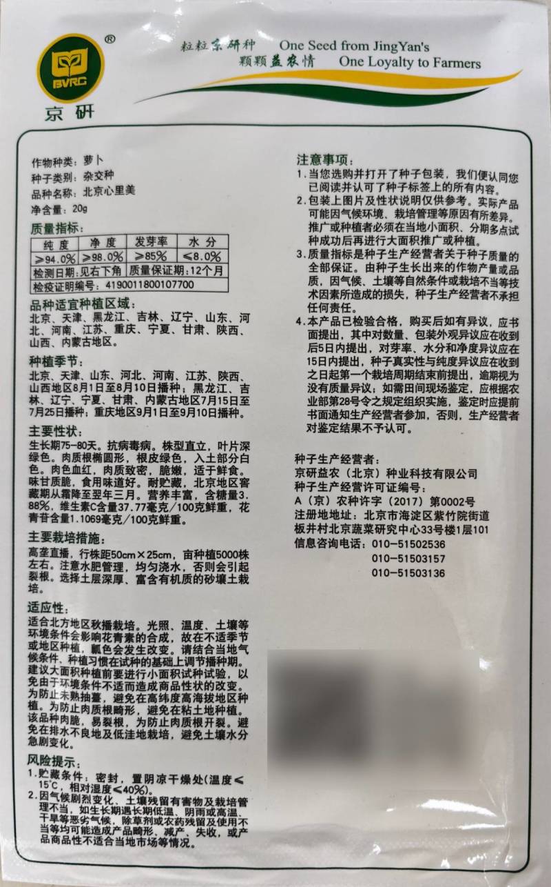 北京心里美萝卜种子满堂红绿皮红肉红心甜脆秋季水果萝卜种子