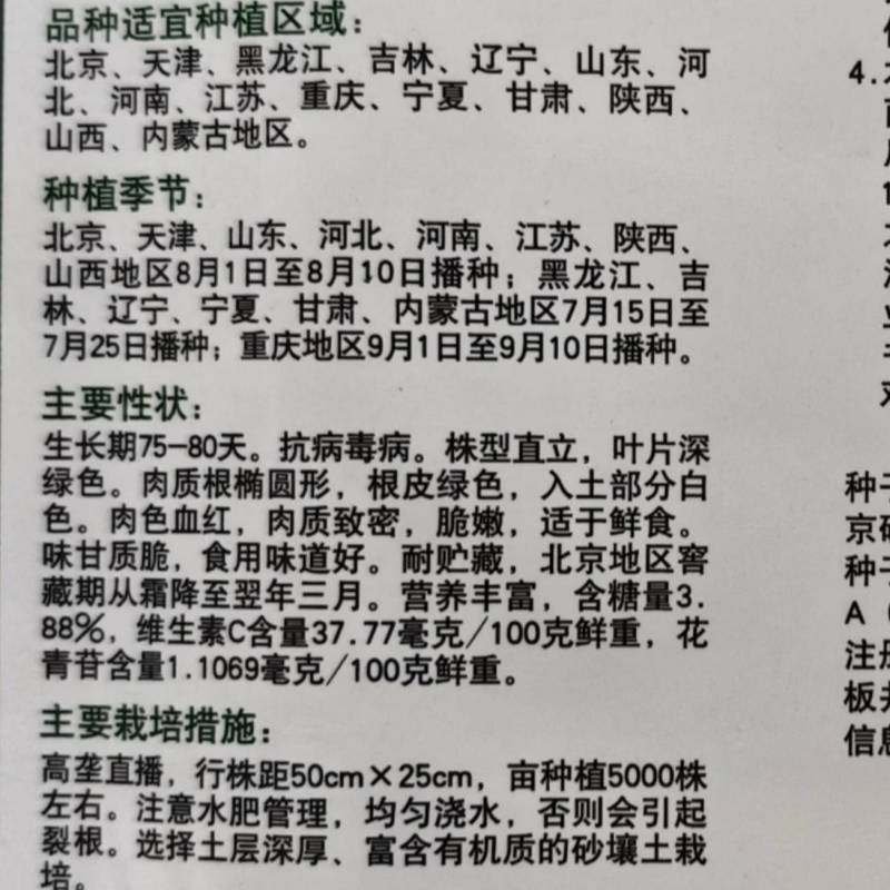 北京心里美萝卜种子满堂红绿皮红肉红心甜脆秋季水果萝卜种子