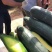 千亩冬瓜基地直发一手货源量大从优欢迎采购下单