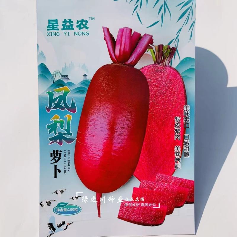 杂交一代甜脆水果萝卜种子凤梨萝卜种子紫皮紫肉萝卜种籽