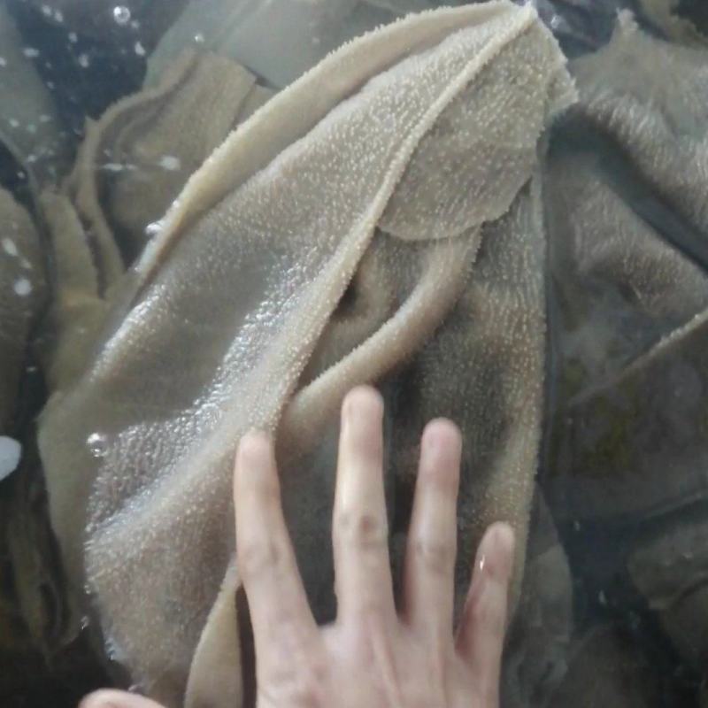 毛肚叶片大叶片小叶片火锅食堂酒店商用上等食材厂家接单欢迎
