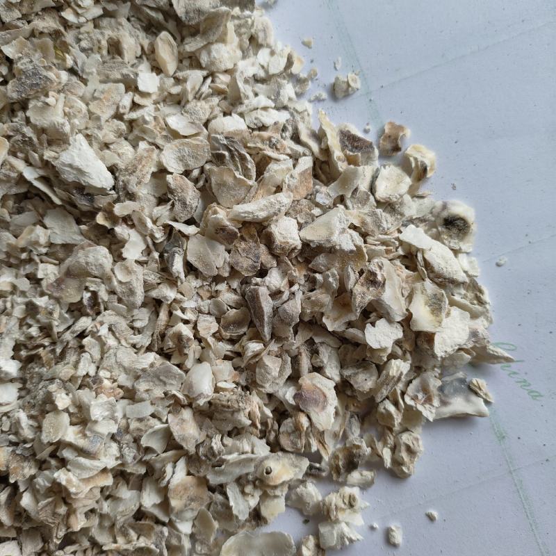 牡蛎牡蛎片中药材矿石祥泰药材栈中药材批发零售实物拍摄