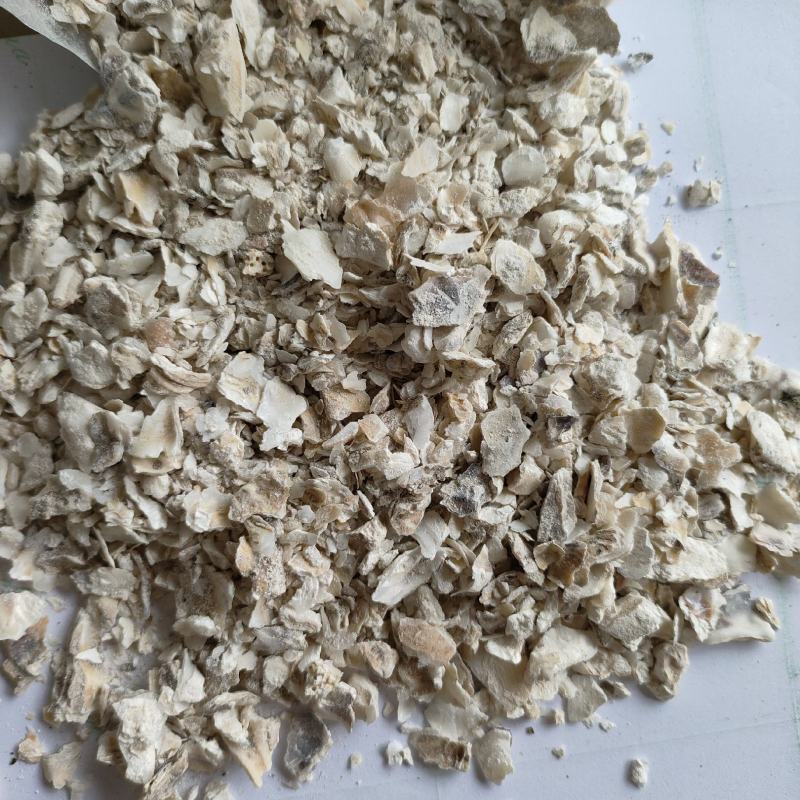 牡蛎牡蛎片中药材矿石祥泰药材栈中药材批发零售实物拍摄
