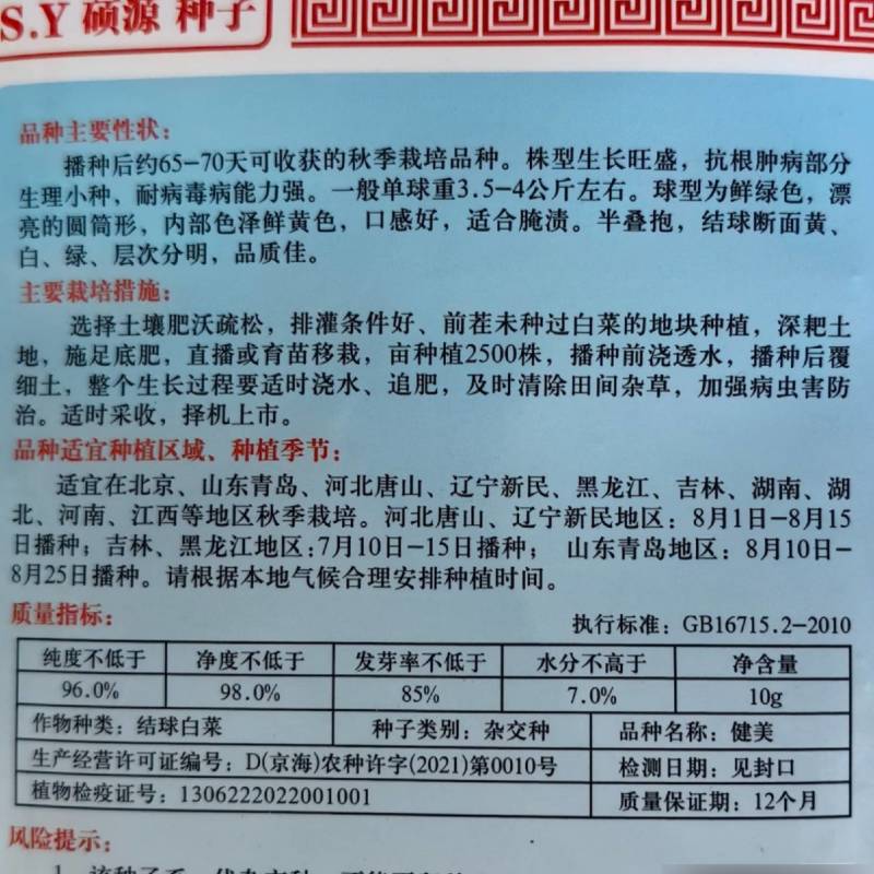 健美黄心大白菜种子秋宝高抗根肿病70天黄心芯白菜做泡菜