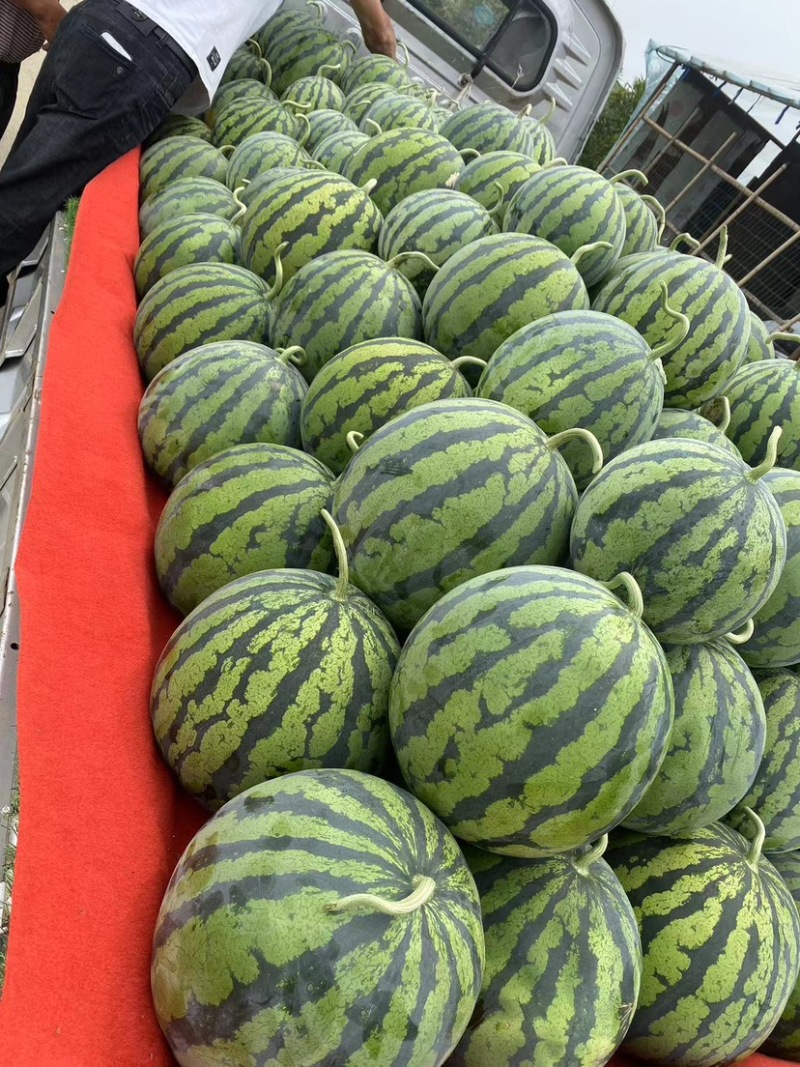 西瓜四川产地直供濛阳水果市场2公里诚信经营品质保证