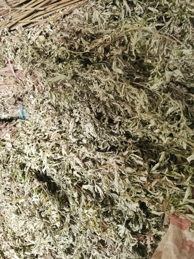 优质的野生全棵艾草！物美价廉！接单全国各地
