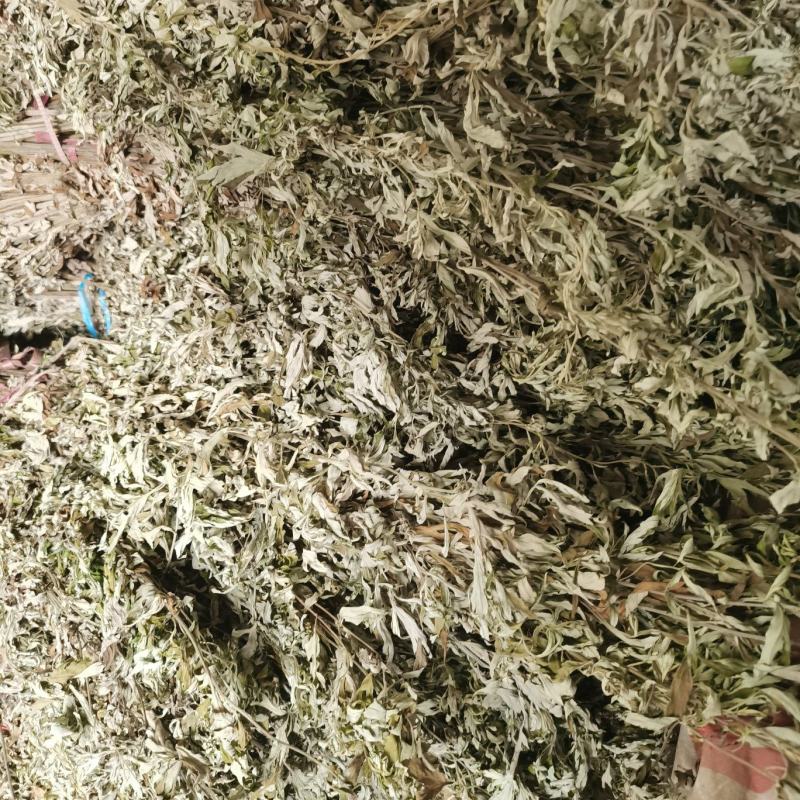 优质的野生全棵艾草！物美价廉！接单全国各地