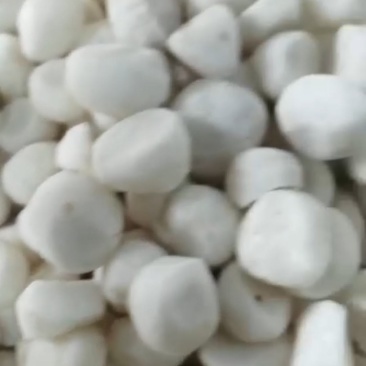 去皮马蹄，现削马蹄，马蹄
