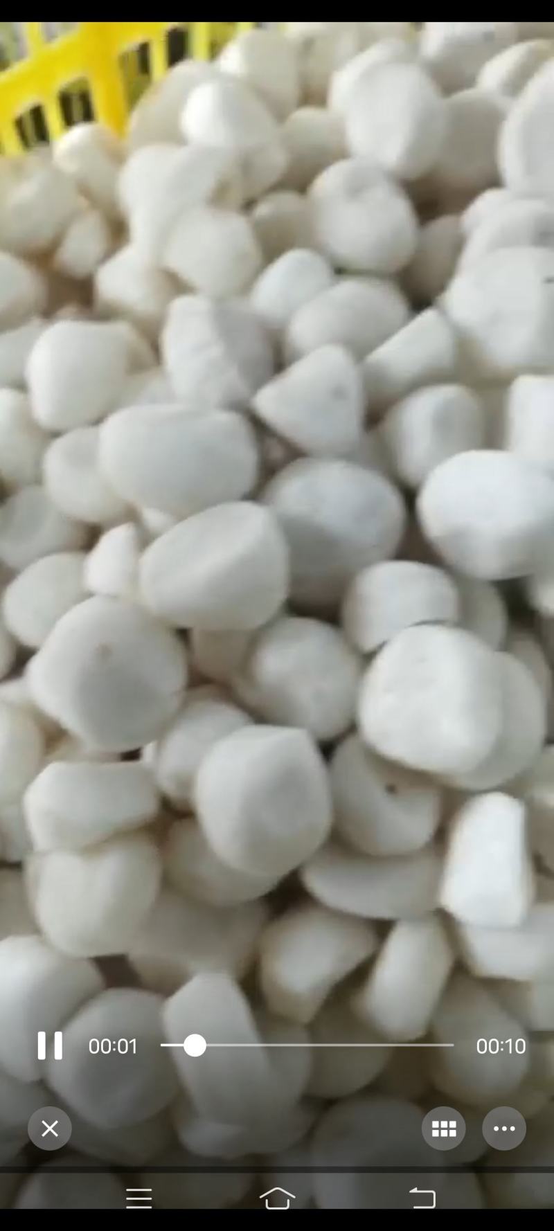 去皮马蹄，现削马蹄，马蹄