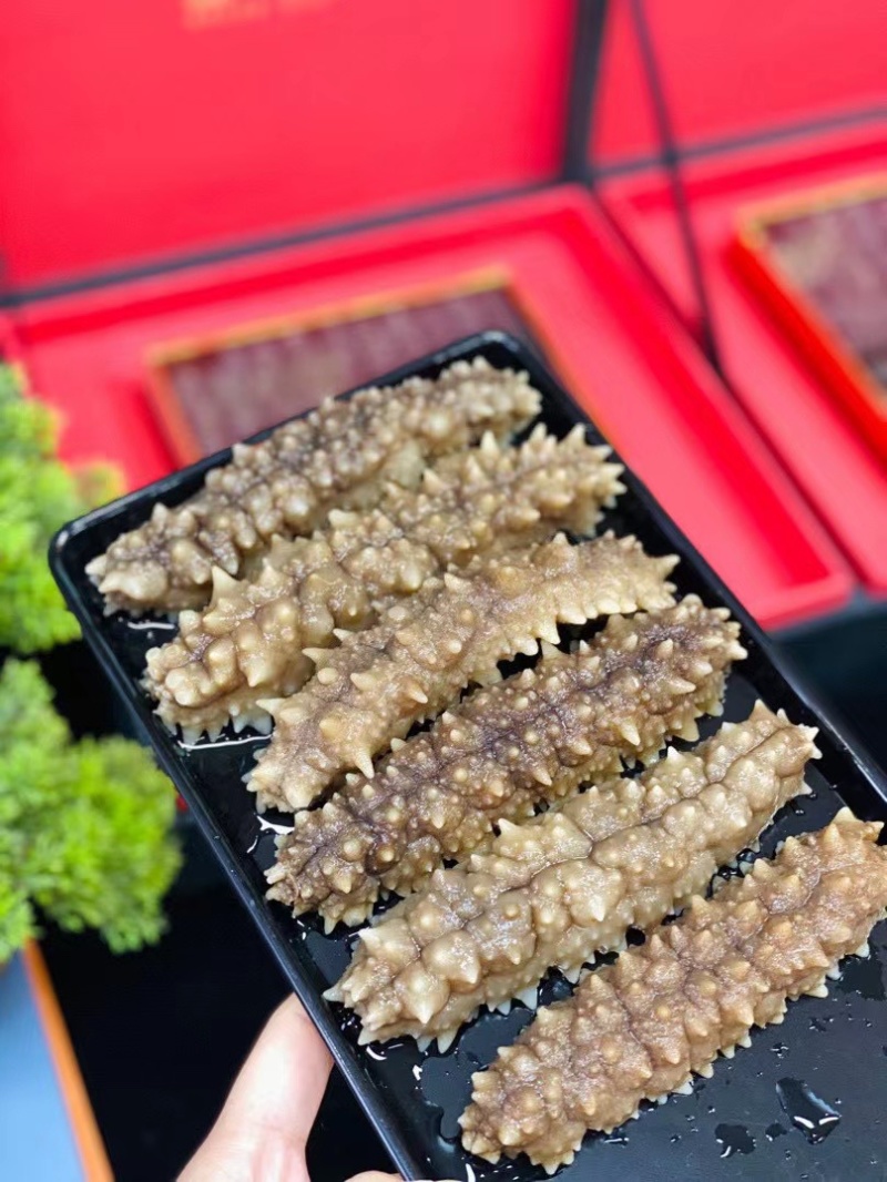 黑刺参黑刺海参六排刺淡干海参刺参刺王参滋补食材送礼佳品