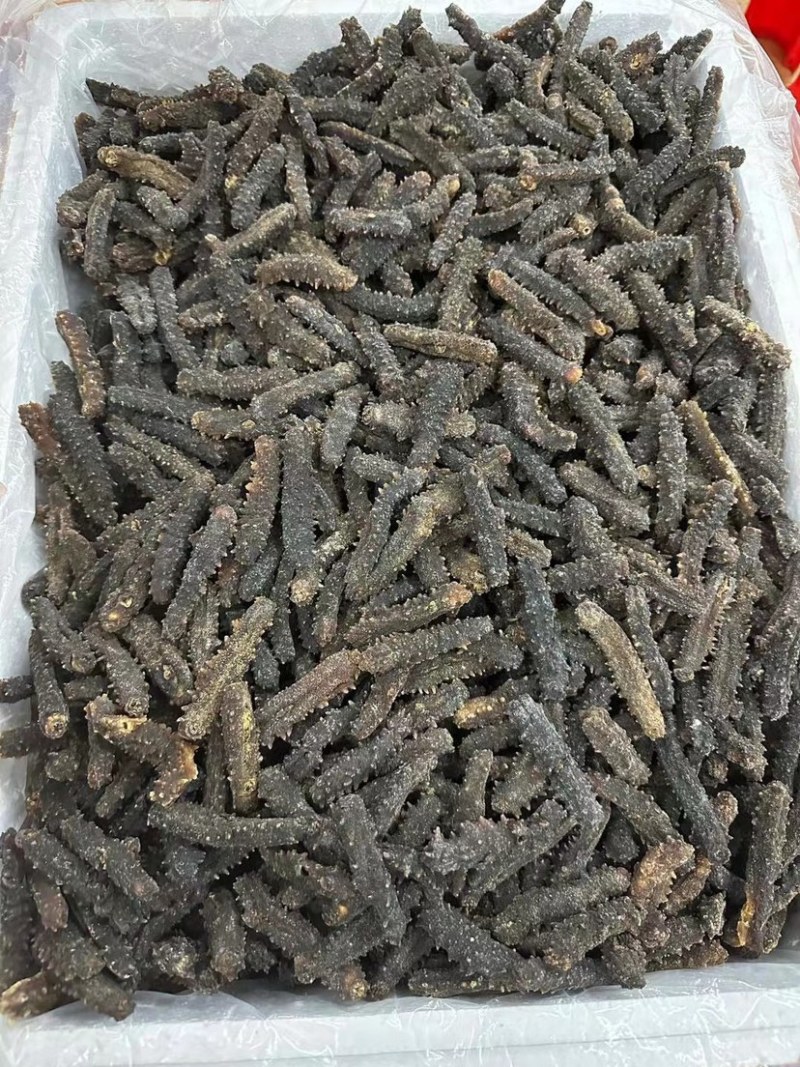 黑刺参黑刺海参六排刺淡干海参刺参刺王参滋补食材送礼佳品