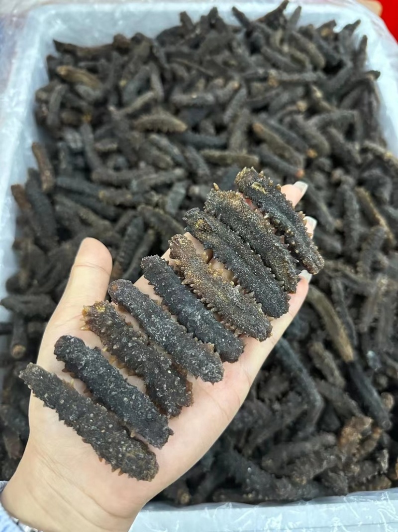 黑刺参黑刺海参六排刺淡干海参刺参刺王参滋补食材送礼佳品
