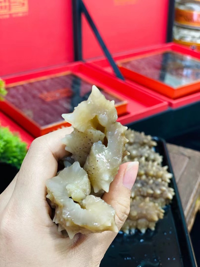 黑刺参黑刺海参六排刺淡干海参刺参刺王参滋补食材送礼佳品