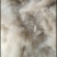 羊绒