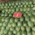 河南绿爽西瓜🍉大量上市新鲜采摘产地直发品质有保障