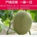 海南晓蜜25号哈密瓜特甜对接全国批发市场电商平台
