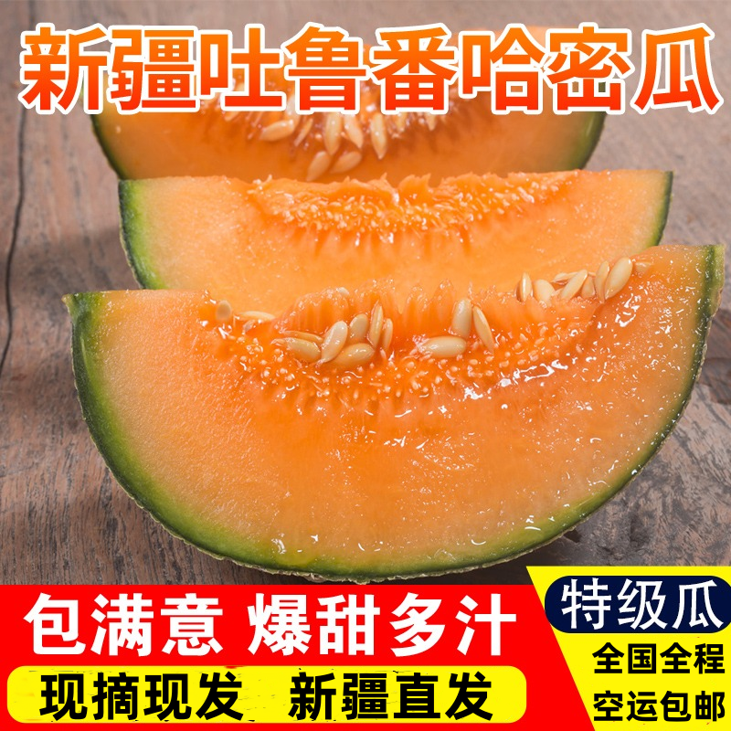 海南晓蜜25号哈密瓜特甜对接全国批发市场电商平台